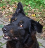 Platzhalterbild