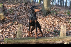 Susi und Max